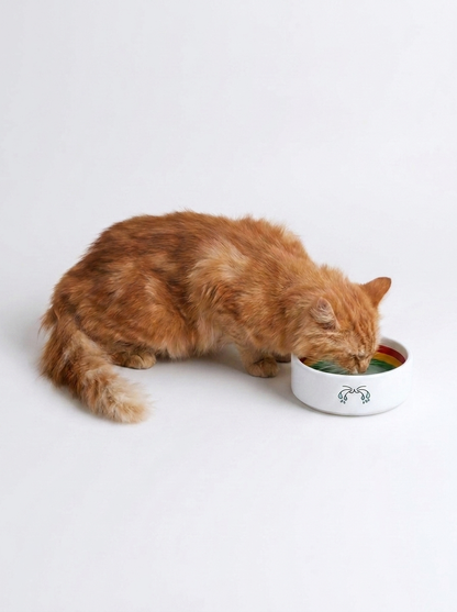 WhiskrFlow Ceramic Water Bowl
